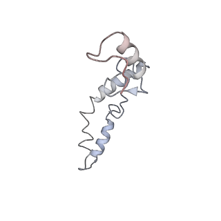 21625_6wd6_S_v1-2
Cryo-EM of elongating ribosome with EF-Tu*GTP elucidates tRNA proofreading (Cognate Structure II-C2)