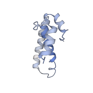 21625_6wd6_T_v1-2
Cryo-EM of elongating ribosome with EF-Tu*GTP elucidates tRNA proofreading (Cognate Structure II-C2)