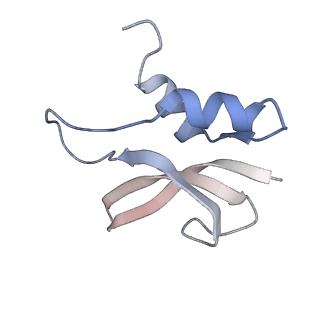 21625_6wd6_U_v1-2
Cryo-EM of elongating ribosome with EF-Tu*GTP elucidates tRNA proofreading (Cognate Structure II-C2)