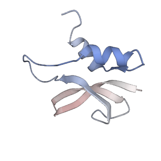 21625_6wd6_U_v1-3
Cryo-EM of elongating ribosome with EF-Tu*GTP elucidates tRNA proofreading (Cognate Structure II-C2)