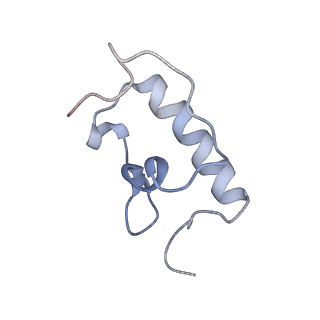 21625_6wd6_W_v1-2
Cryo-EM of elongating ribosome with EF-Tu*GTP elucidates tRNA proofreading (Cognate Structure II-C2)