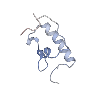 21625_6wd6_W_v1-3
Cryo-EM of elongating ribosome with EF-Tu*GTP elucidates tRNA proofreading (Cognate Structure II-C2)