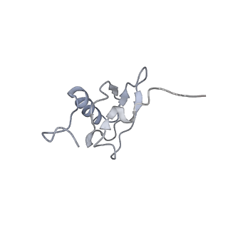 21625_6wd6_X_v1-2
Cryo-EM of elongating ribosome with EF-Tu*GTP elucidates tRNA proofreading (Cognate Structure II-C2)