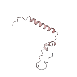 21625_6wd6_Z_v1-2
Cryo-EM of elongating ribosome with EF-Tu*GTP elucidates tRNA proofreading (Cognate Structure II-C2)