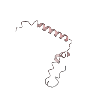 21625_6wd6_Z_v1-3
Cryo-EM of elongating ribosome with EF-Tu*GTP elucidates tRNA proofreading (Cognate Structure II-C2)