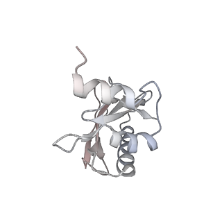 21625_6wd6_a_v1-2
Cryo-EM of elongating ribosome with EF-Tu*GTP elucidates tRNA proofreading (Cognate Structure II-C2)