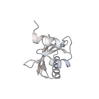 21625_6wd6_a_v1-3
Cryo-EM of elongating ribosome with EF-Tu*GTP elucidates tRNA proofreading (Cognate Structure II-C2)