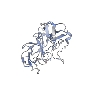 21625_6wd6_b_v1-2
Cryo-EM of elongating ribosome with EF-Tu*GTP elucidates tRNA proofreading (Cognate Structure II-C2)