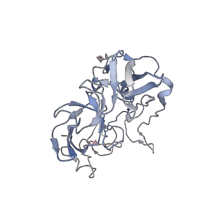 21625_6wd6_b_v1-3
Cryo-EM of elongating ribosome with EF-Tu*GTP elucidates tRNA proofreading (Cognate Structure II-C2)