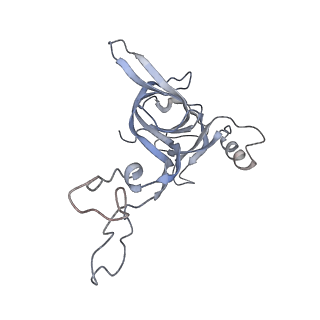21625_6wd6_c_v1-2
Cryo-EM of elongating ribosome with EF-Tu*GTP elucidates tRNA proofreading (Cognate Structure II-C2)