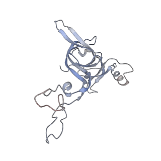 21625_6wd6_c_v1-3
Cryo-EM of elongating ribosome with EF-Tu*GTP elucidates tRNA proofreading (Cognate Structure II-C2)