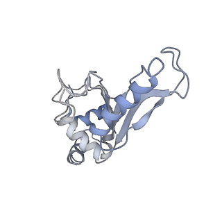 21625_6wd6_e_v1-2
Cryo-EM of elongating ribosome with EF-Tu*GTP elucidates tRNA proofreading (Cognate Structure II-C2)