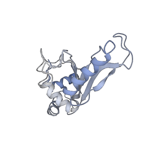 21625_6wd6_e_v1-3
Cryo-EM of elongating ribosome with EF-Tu*GTP elucidates tRNA proofreading (Cognate Structure II-C2)