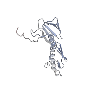 21625_6wd6_f_v1-2
Cryo-EM of elongating ribosome with EF-Tu*GTP elucidates tRNA proofreading (Cognate Structure II-C2)