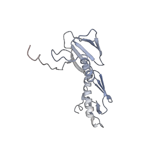 21625_6wd6_f_v1-3
Cryo-EM of elongating ribosome with EF-Tu*GTP elucidates tRNA proofreading (Cognate Structure II-C2)