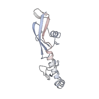 21625_6wd6_g_v1-2
Cryo-EM of elongating ribosome with EF-Tu*GTP elucidates tRNA proofreading (Cognate Structure II-C2)