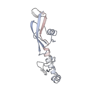 21625_6wd6_g_v1-3
Cryo-EM of elongating ribosome with EF-Tu*GTP elucidates tRNA proofreading (Cognate Structure II-C2)