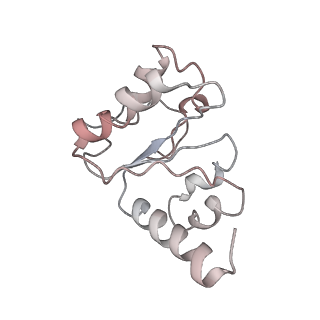 21625_6wd6_h_v1-2
Cryo-EM of elongating ribosome with EF-Tu*GTP elucidates tRNA proofreading (Cognate Structure II-C2)