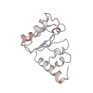 21625_6wd6_h_v1-3
Cryo-EM of elongating ribosome with EF-Tu*GTP elucidates tRNA proofreading (Cognate Structure II-C2)