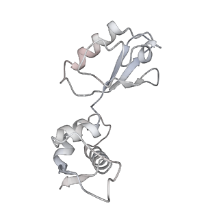21625_6wd6_i_v1-2
Cryo-EM of elongating ribosome with EF-Tu*GTP elucidates tRNA proofreading (Cognate Structure II-C2)