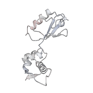 21625_6wd6_i_v1-3
Cryo-EM of elongating ribosome with EF-Tu*GTP elucidates tRNA proofreading (Cognate Structure II-C2)