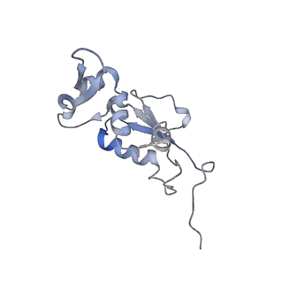 21625_6wd6_j_v1-2
Cryo-EM of elongating ribosome with EF-Tu*GTP elucidates tRNA proofreading (Cognate Structure II-C2)