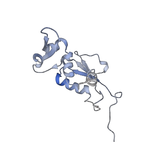 21625_6wd6_j_v1-3
Cryo-EM of elongating ribosome with EF-Tu*GTP elucidates tRNA proofreading (Cognate Structure II-C2)