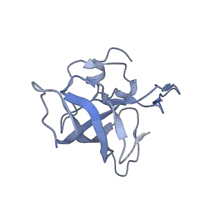 21625_6wd6_k_v1-2
Cryo-EM of elongating ribosome with EF-Tu*GTP elucidates tRNA proofreading (Cognate Structure II-C2)