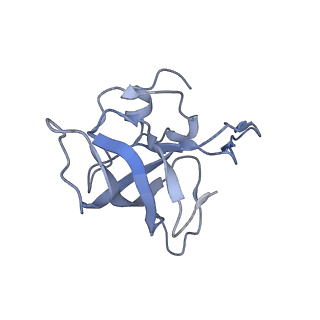 21625_6wd6_k_v1-3
Cryo-EM of elongating ribosome with EF-Tu*GTP elucidates tRNA proofreading (Cognate Structure II-C2)