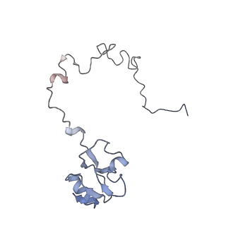 21625_6wd6_l_v1-2
Cryo-EM of elongating ribosome with EF-Tu*GTP elucidates tRNA proofreading (Cognate Structure II-C2)