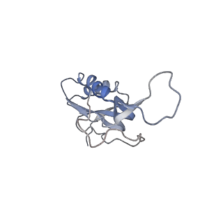 21625_6wd6_m_v1-2
Cryo-EM of elongating ribosome with EF-Tu*GTP elucidates tRNA proofreading (Cognate Structure II-C2)