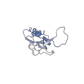 21625_6wd6_m_v1-3
Cryo-EM of elongating ribosome with EF-Tu*GTP elucidates tRNA proofreading (Cognate Structure II-C2)