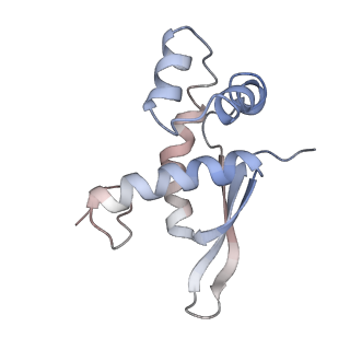 21625_6wd6_n_v1-2
Cryo-EM of elongating ribosome with EF-Tu*GTP elucidates tRNA proofreading (Cognate Structure II-C2)