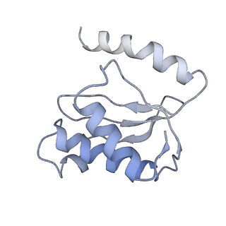 21625_6wd6_o_v1-2
Cryo-EM of elongating ribosome with EF-Tu*GTP elucidates tRNA proofreading (Cognate Structure II-C2)