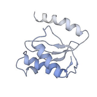 21625_6wd6_o_v1-3
Cryo-EM of elongating ribosome with EF-Tu*GTP elucidates tRNA proofreading (Cognate Structure II-C2)