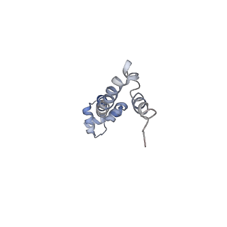 21625_6wd6_q_v1-2
Cryo-EM of elongating ribosome with EF-Tu*GTP elucidates tRNA proofreading (Cognate Structure II-C2)