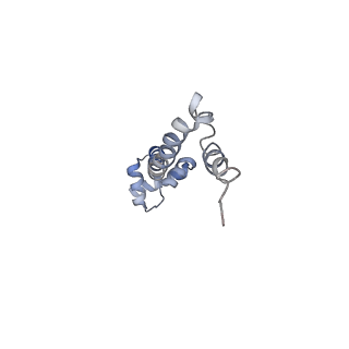 21625_6wd6_q_v1-3
Cryo-EM of elongating ribosome with EF-Tu*GTP elucidates tRNA proofreading (Cognate Structure II-C2)