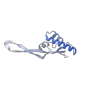 21625_6wd6_s_v1-3
Cryo-EM of elongating ribosome with EF-Tu*GTP elucidates tRNA proofreading (Cognate Structure II-C2)