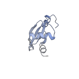 21625_6wd6_t_v1-2
Cryo-EM of elongating ribosome with EF-Tu*GTP elucidates tRNA proofreading (Cognate Structure II-C2)