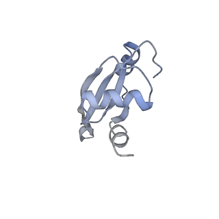 21625_6wd6_t_v1-3
Cryo-EM of elongating ribosome with EF-Tu*GTP elucidates tRNA proofreading (Cognate Structure II-C2)