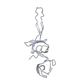 21625_6wd6_u_v1-2
Cryo-EM of elongating ribosome with EF-Tu*GTP elucidates tRNA proofreading (Cognate Structure II-C2)
