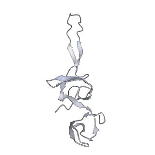 21625_6wd6_u_v1-3
Cryo-EM of elongating ribosome with EF-Tu*GTP elucidates tRNA proofreading (Cognate Structure II-C2)