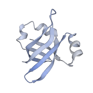 21625_6wd6_v_v1-2
Cryo-EM of elongating ribosome with EF-Tu*GTP elucidates tRNA proofreading (Cognate Structure II-C2)