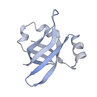 21625_6wd6_v_v1-3
Cryo-EM of elongating ribosome with EF-Tu*GTP elucidates tRNA proofreading (Cognate Structure II-C2)