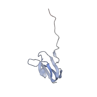 21625_6wd6_w_v1-2
Cryo-EM of elongating ribosome with EF-Tu*GTP elucidates tRNA proofreading (Cognate Structure II-C2)