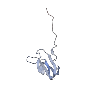 21625_6wd6_w_v1-3
Cryo-EM of elongating ribosome with EF-Tu*GTP elucidates tRNA proofreading (Cognate Structure II-C2)