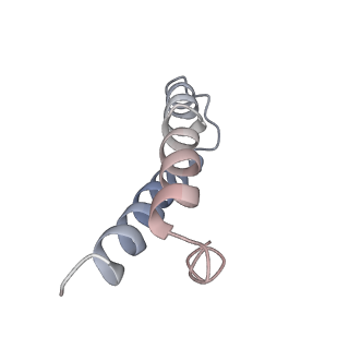 21625_6wd6_y_v1-3
Cryo-EM of elongating ribosome with EF-Tu*GTP elucidates tRNA proofreading (Cognate Structure II-C2)