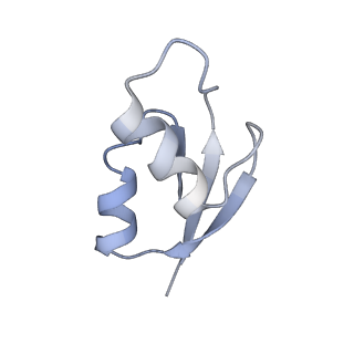 21625_6wd6_z_v1-2
Cryo-EM of elongating ribosome with EF-Tu*GTP elucidates tRNA proofreading (Cognate Structure II-C2)
