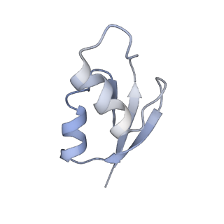 21625_6wd6_z_v1-3
Cryo-EM of elongating ribosome with EF-Tu*GTP elucidates tRNA proofreading (Cognate Structure II-C2)