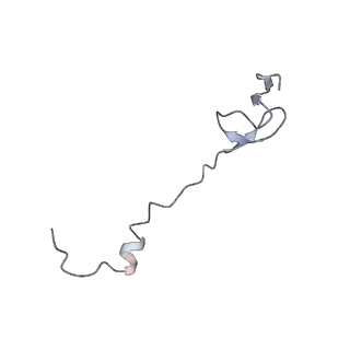 21626_6wd7_B_v1-2
Cryo-EM of elongating ribosome with EF-Tu*GTP elucidates tRNA proofreading (Cognate Structure II-D)